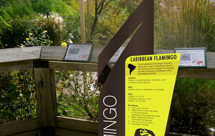 規(guī)劃設(shè)計作品案例展示