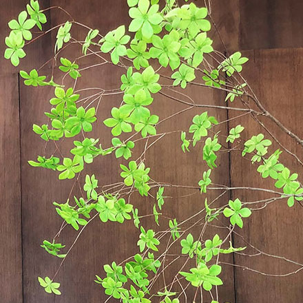 標(biāo)牌圖片-消防水池標(biāo)識標(biāo)牌