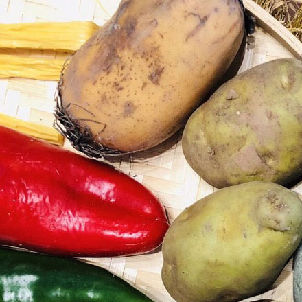 國內(nèi)城市標(biāo)識設(shè)計(jì)公司