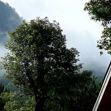 冬奧標識設計公司招聘